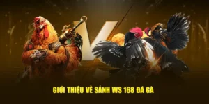 Chi Tiết Cách Chơi Đá Gà WS168 Tại 78Win Cho Người Mới 1 Chi Tiết Cách Chơi Đá Gà WS168 Tại 78Win Cho Người Mới