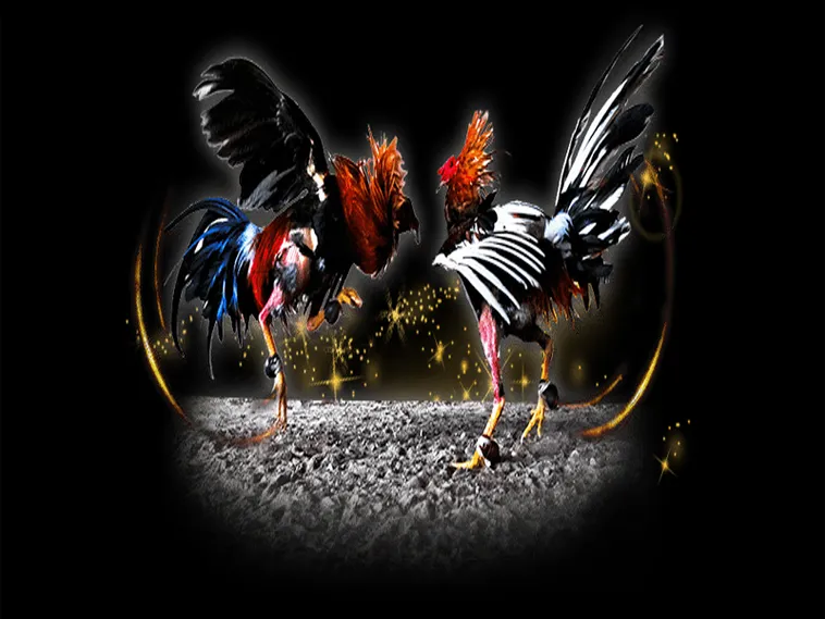 Hướng Dẫn Cách Chơi Đá Gà Sabong Tại 78Win Từ Cao Thủ