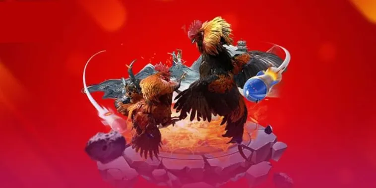 Đá Gà 78Win Thomo Trực Tiếp Kịch Tính Đến Từng Giây