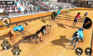 Hướng Dẫn Cách Chơi Game Nhanh Đua Chó Tại 78Win Chắc Thắng 5 Hướng Dẫn Cách Chơi Game Nhanh Đua Chó Tại 78Win Chắc Thắng
