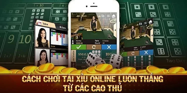 Khám Phá Cách Chơi Tài Xỉu Nhà Cái 78Win Dễ Trúng Nhất 1 Khám Phá Cách Chơi Tài Xỉu Nhà Cái 78Win Dễ Trúng Nhất